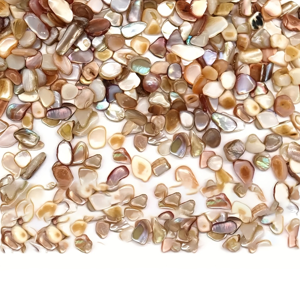 280pcs Natural Abalone Shell Chips for DIY Crafts