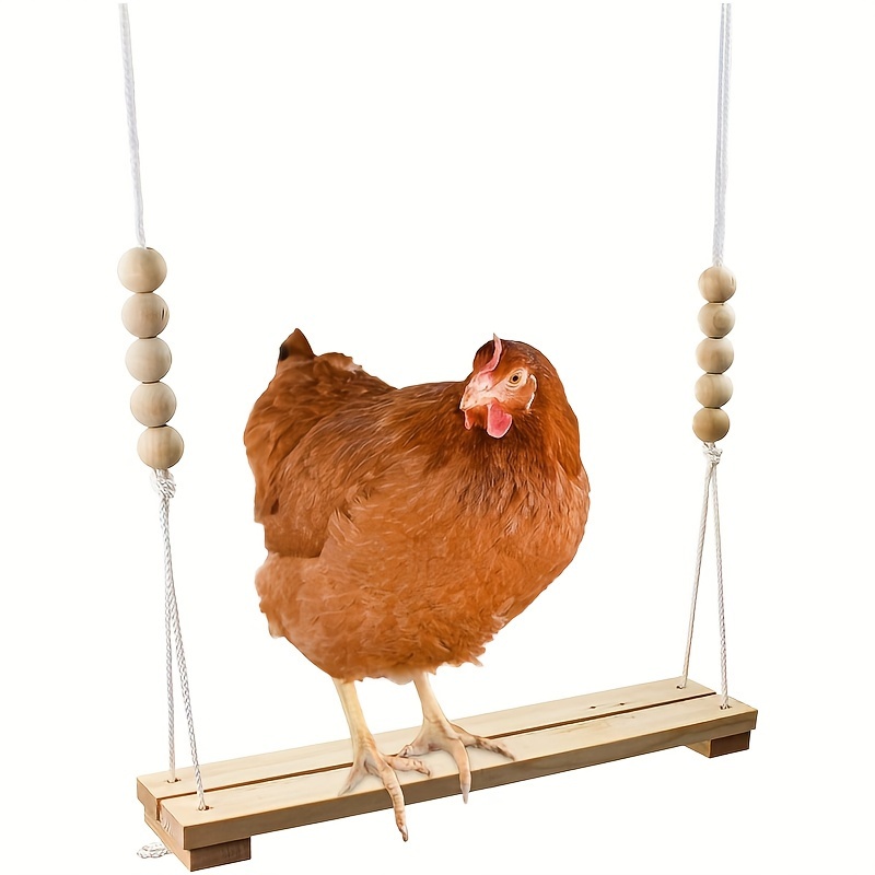 

Sturdy Wooden Chicken Swing - Parrot Perch & Bird With Chewable Hanging For Medium To Large Pets