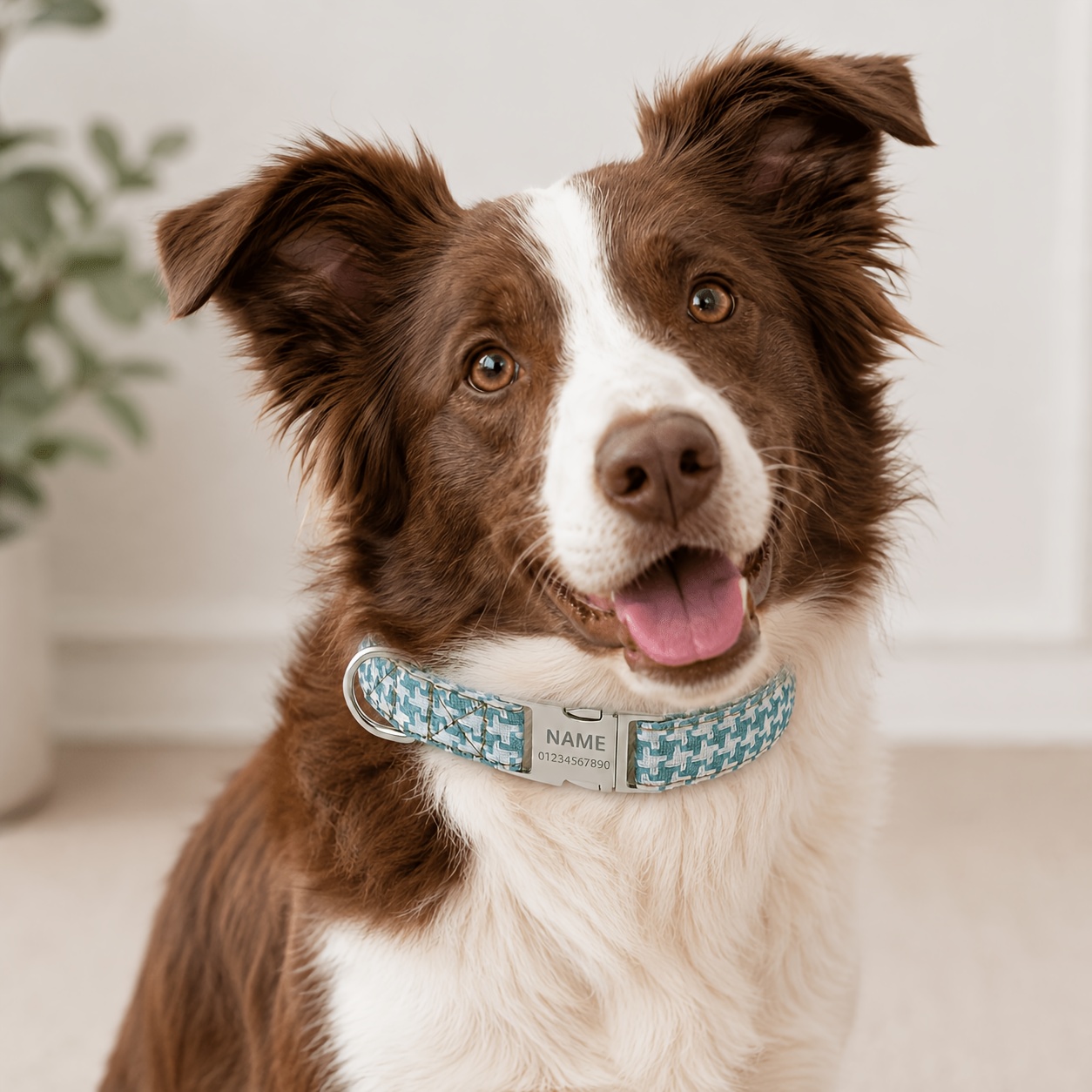 Custom Engraved Houndstooth Dog Collar with Adjustable Quick Release Buckle