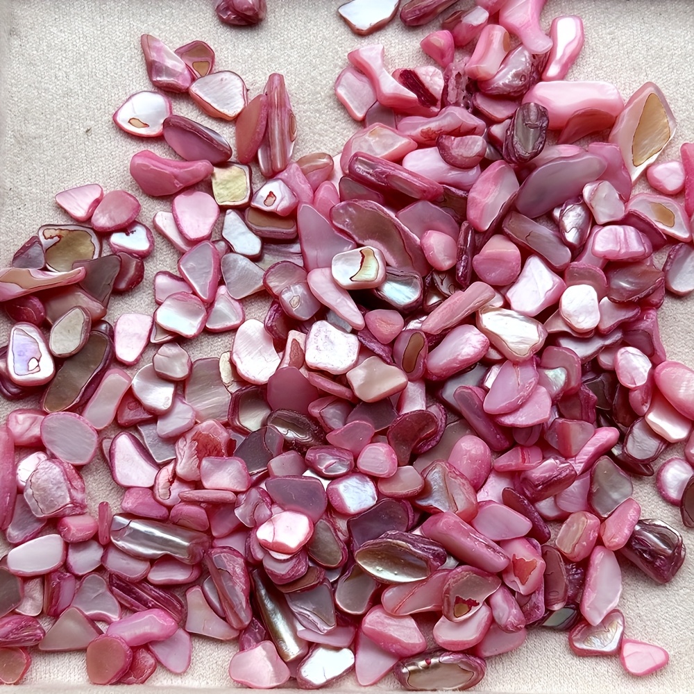 280pcs Natural Abalone Shell Chips for DIY Crafts