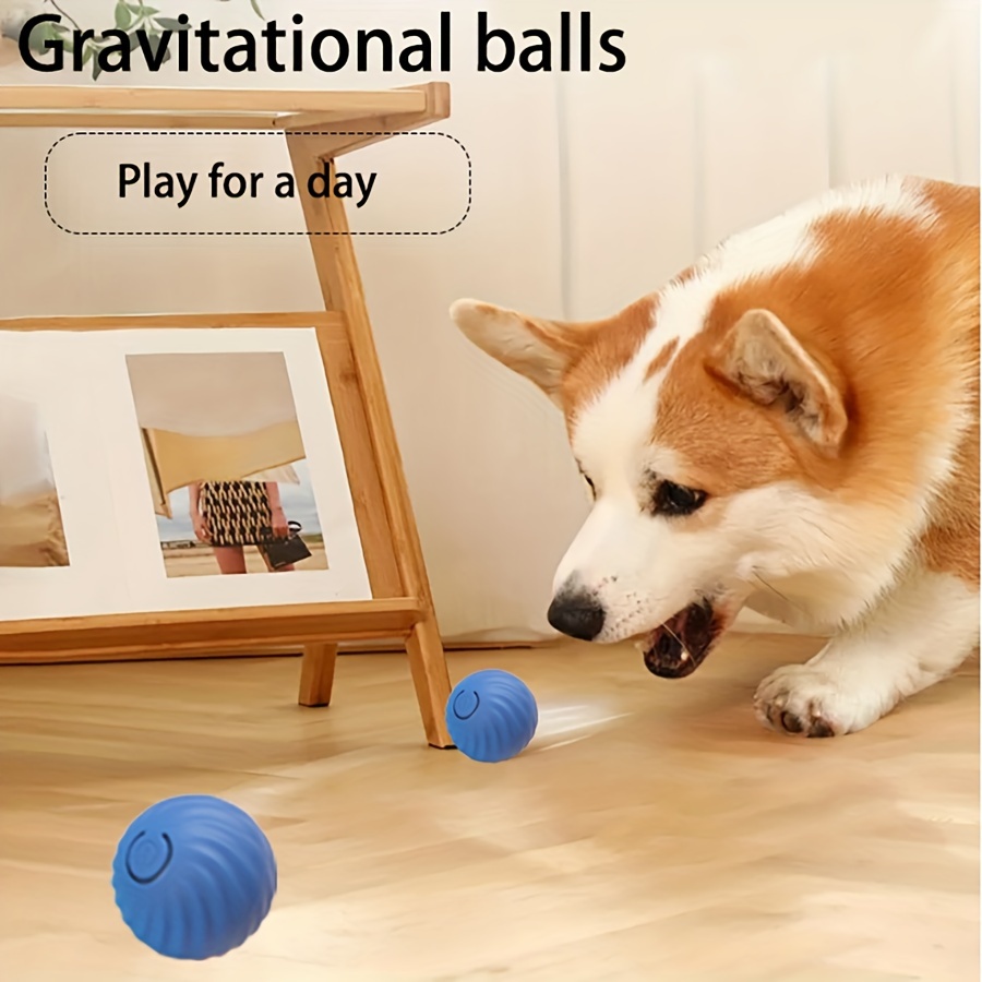 

A Durable Dog Chew Toy That Automatically Rolls, A Pet Teeth Grinding Toy, A Gravity Jumping Ball Toy, And A Dog Interactive Accessory.