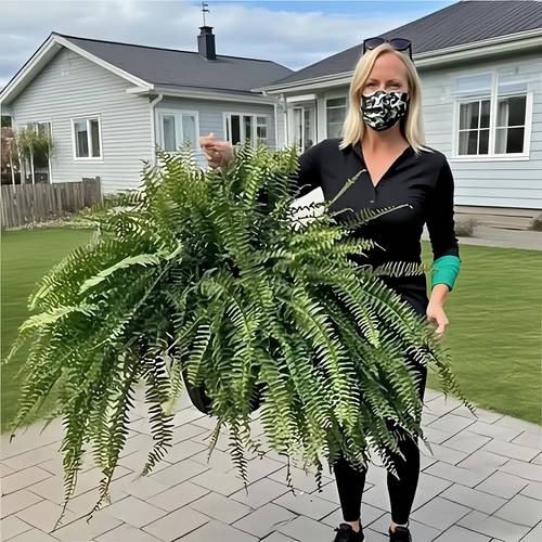 cesta colgante de helecho de boston artificial extra de 22.83 pulgadas - planta decorativa de vegetación realista para jardín de boda, fiestas, día de acción de , navidad, oktoberfest, día , , patio, material plástico ,