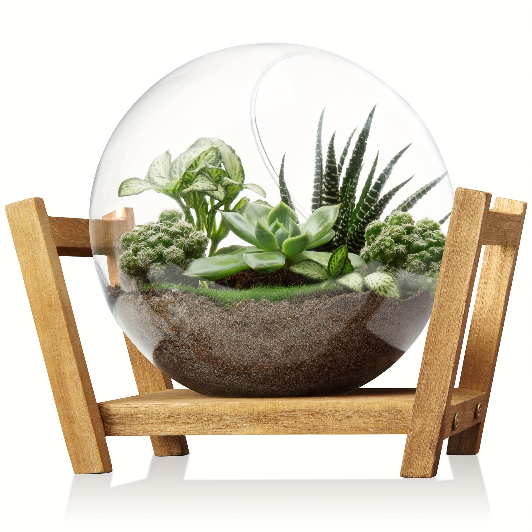 

Minimalist Charm) Vintage Glass Plant Terrarium With Wooden Stand – Decorative Round Vase For Succulents, Air Plants, And Propagation, Desktop Gardening And Plant Enthusiasts