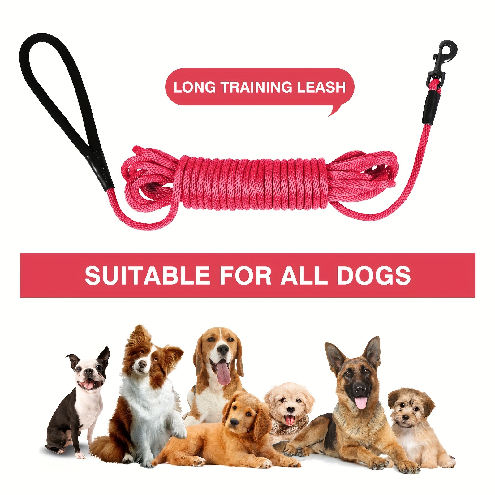 30 ft nylon dog leash best sale