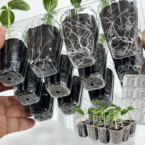 6 sets of 72 cell seed trays with ventilation holes suitable for indoor and outdoor planting ideal for vegetables flowers and herbs reusable plastic seed containers