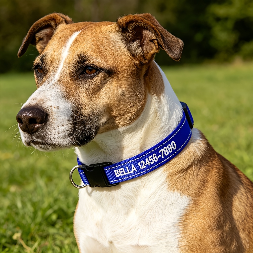 TEMU Personalized Embroidered Dog Collar With Name & Phone Number - Custom Reflective Collar Suitable For & Puppies, Upgraded D-ring, 5 Adjustable