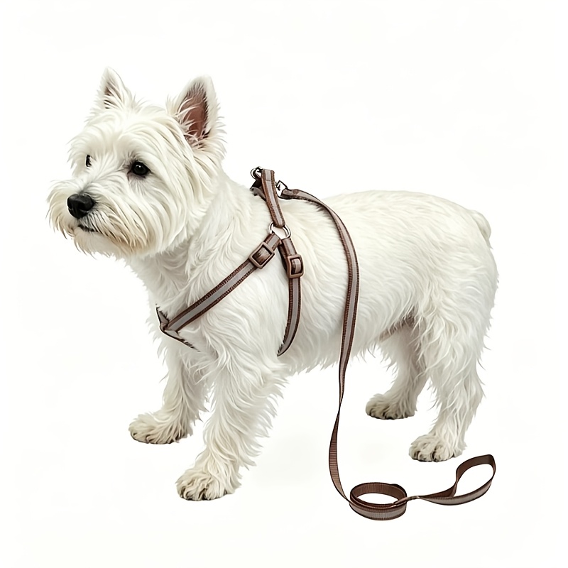 2pcs Pet Reflective Harness and Leash Set, Adjustable