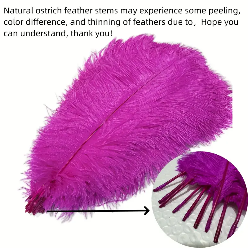Colorful Ostrich Feathers For Crafts Carnival - Temu