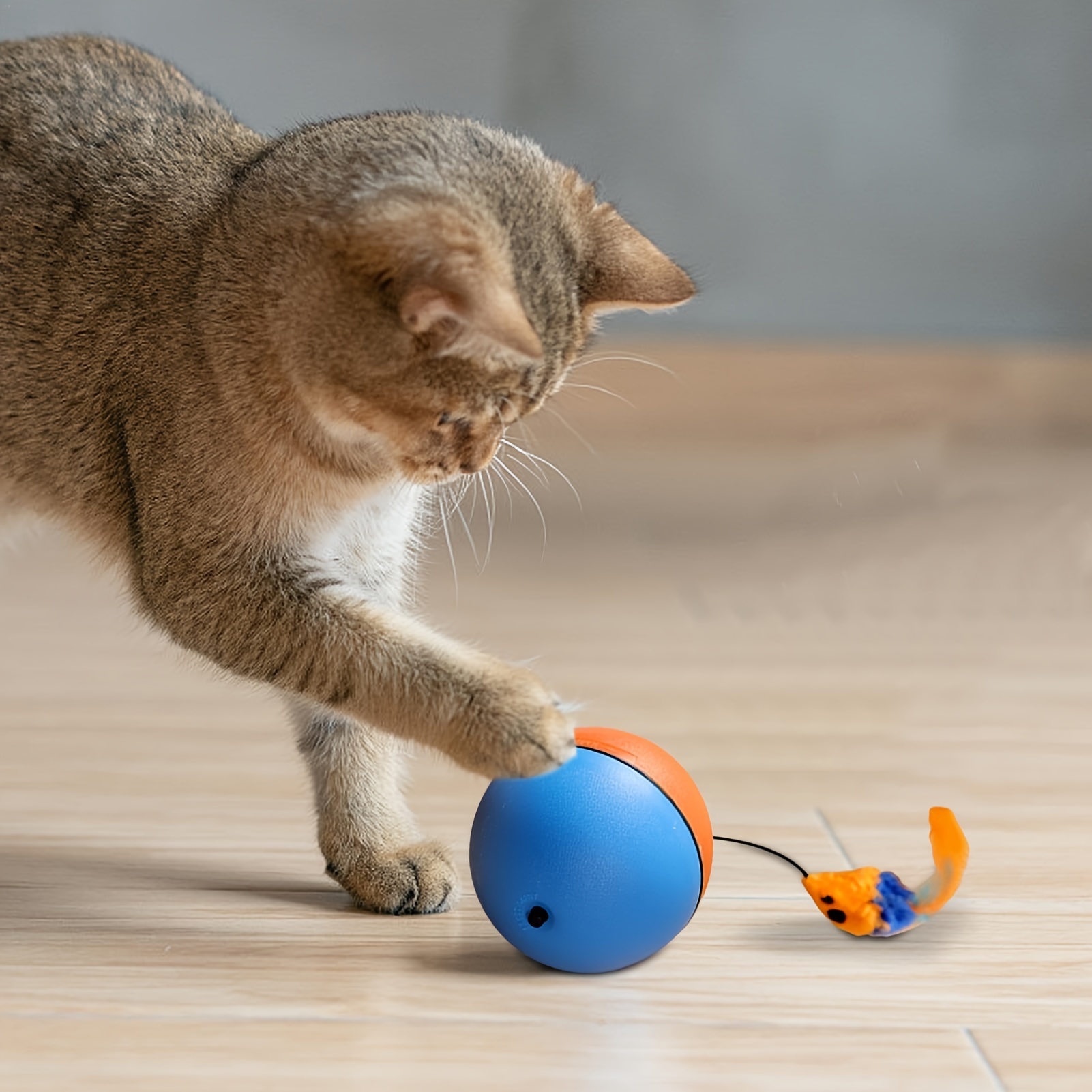 

Cat Teaserball Fun Moving Toy For Pet , Cat For , Toy - ,