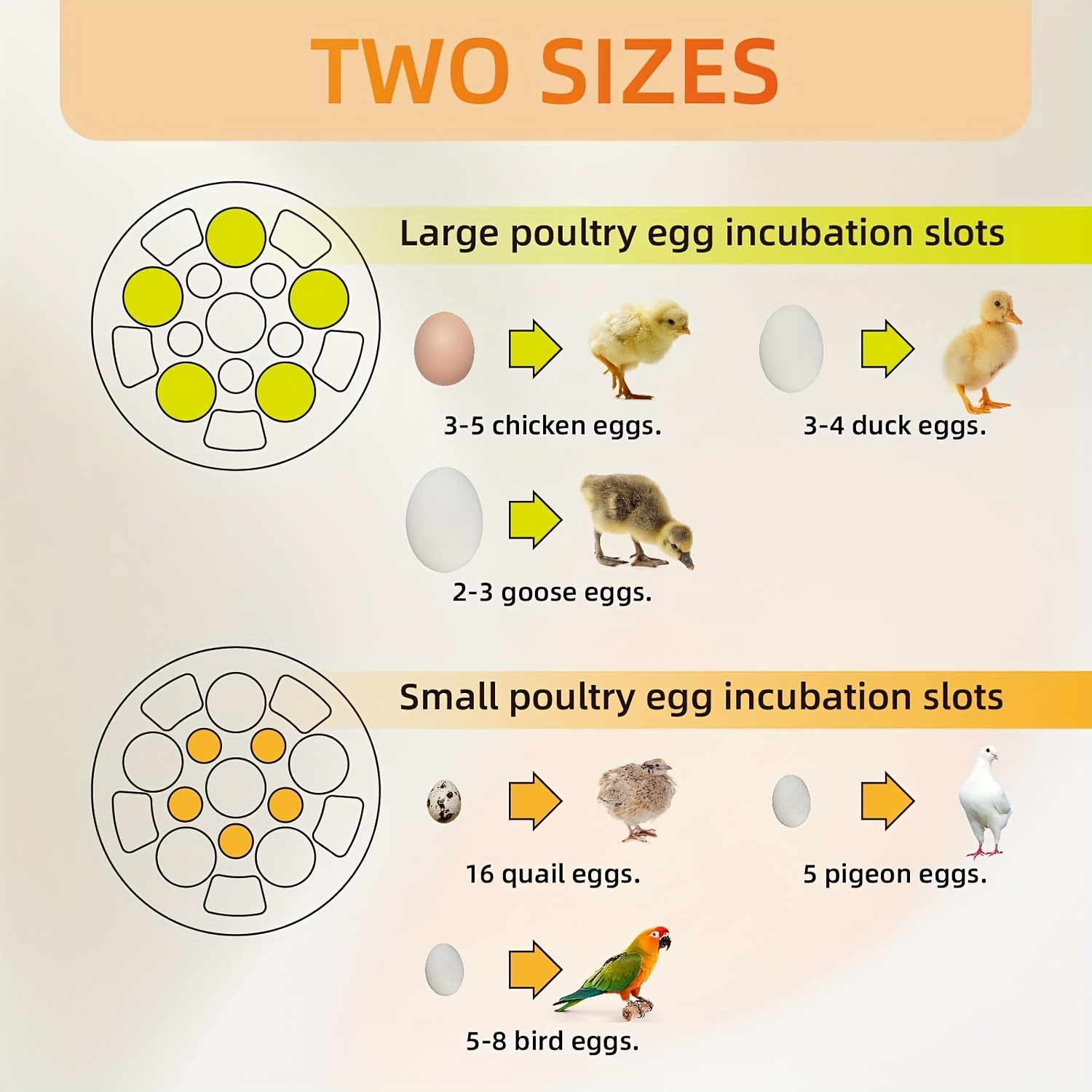 mini egg incubator capacity for 5pcs chicken eggs or 10pcs bird eggs 5v 2a safe voltage with set cute design suitable for home use Product details 5