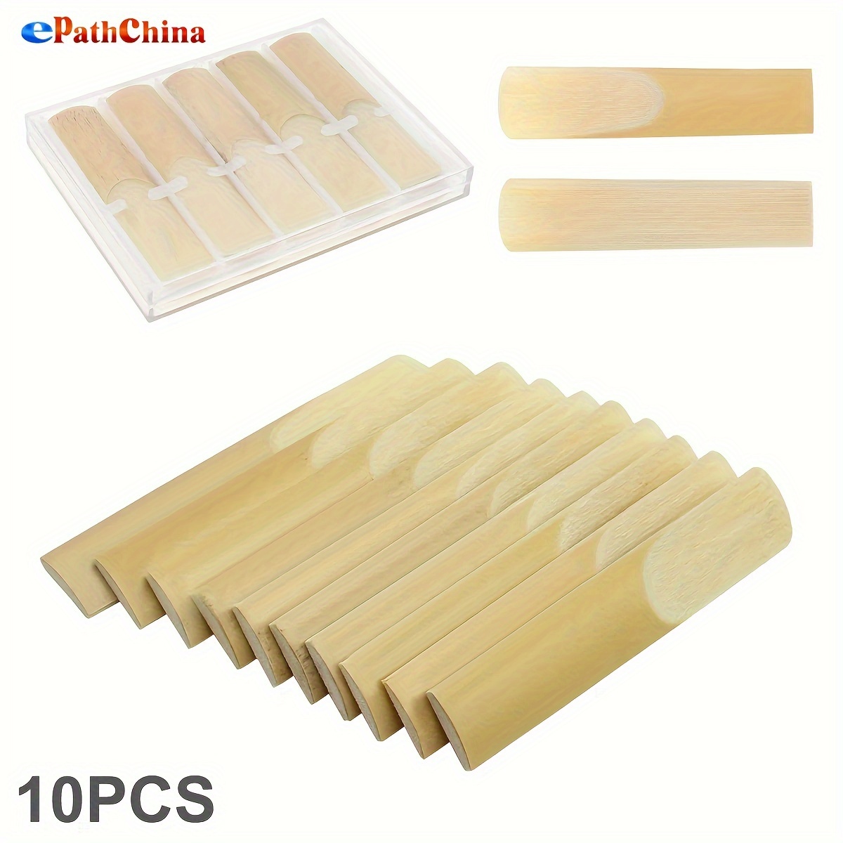 topf für bananenpflanze Bananenstaude Musa und ihr Topf - Tropische Pflanze main image 0