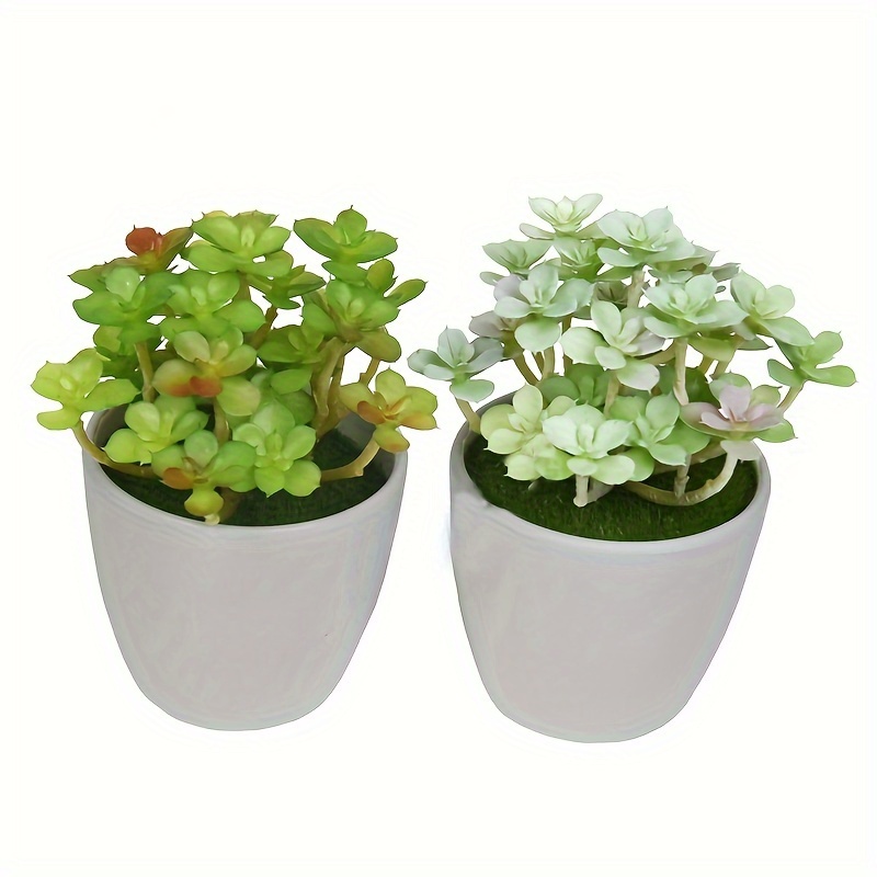 

Charming Faux Succulent Plant - Plastic Artificial Potted Flower For Office Decor, Perfect Birthday Gift