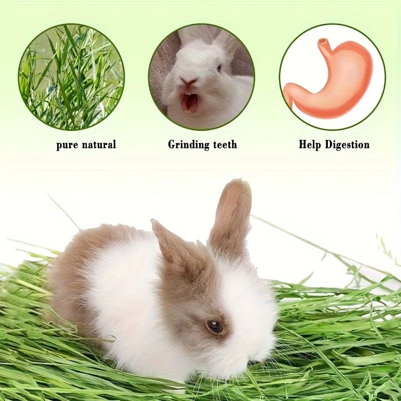 Set of 3/6 Grass Mats for Rabbits and Small Animals