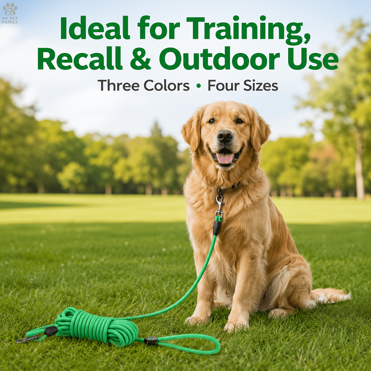 Heavy-Duty Dog Training Leash, Weather-Resistant Nylon Material