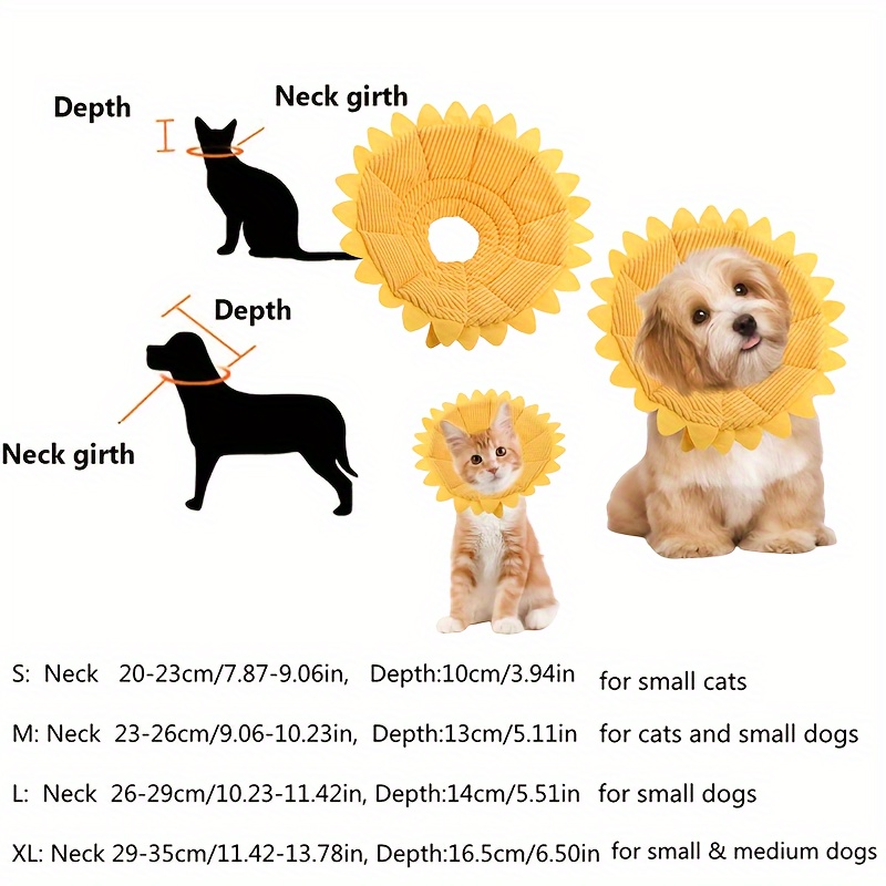 Sunflower cone best sale for dogs