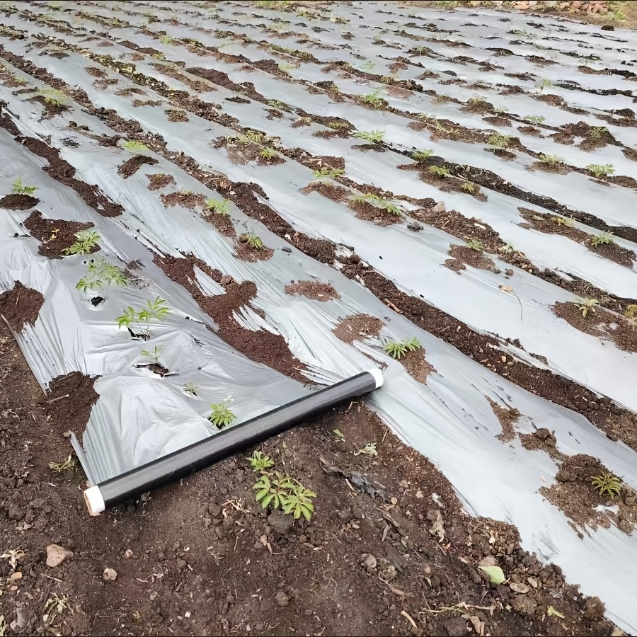 TEMU Nouveau film agricole en matériau PE, argenté-noir, épaissi, -insectes, réfléchissant, pour le des et la rétention de chaleur