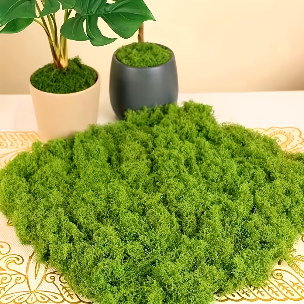 

Grams, Artificial Simulated Moss, Simulated Moss Turf Decoration, Diy Simulated Moss Micro Landscape , Green Plant Lawn Potted Decoration, Micro Landscape Design Accessories, , Fake Scene Decoration