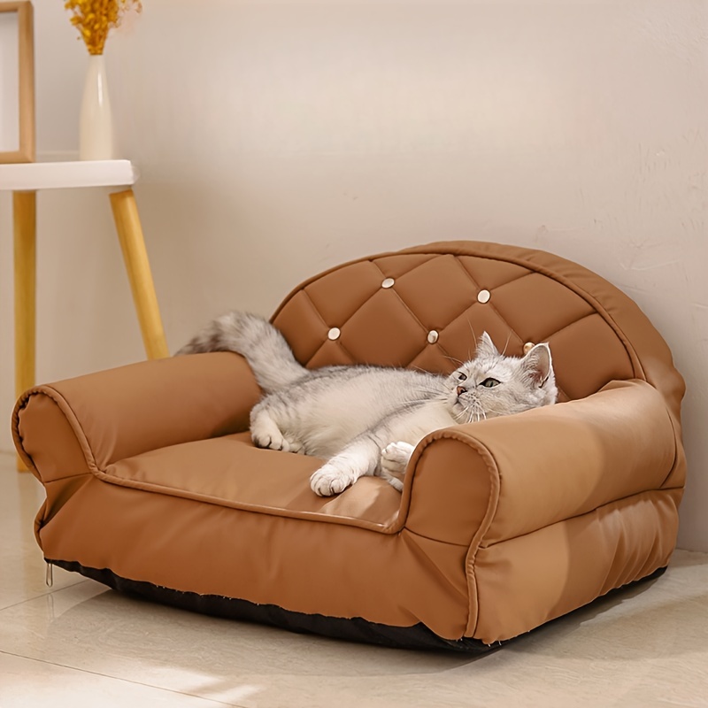 Polyester couch cats best sale