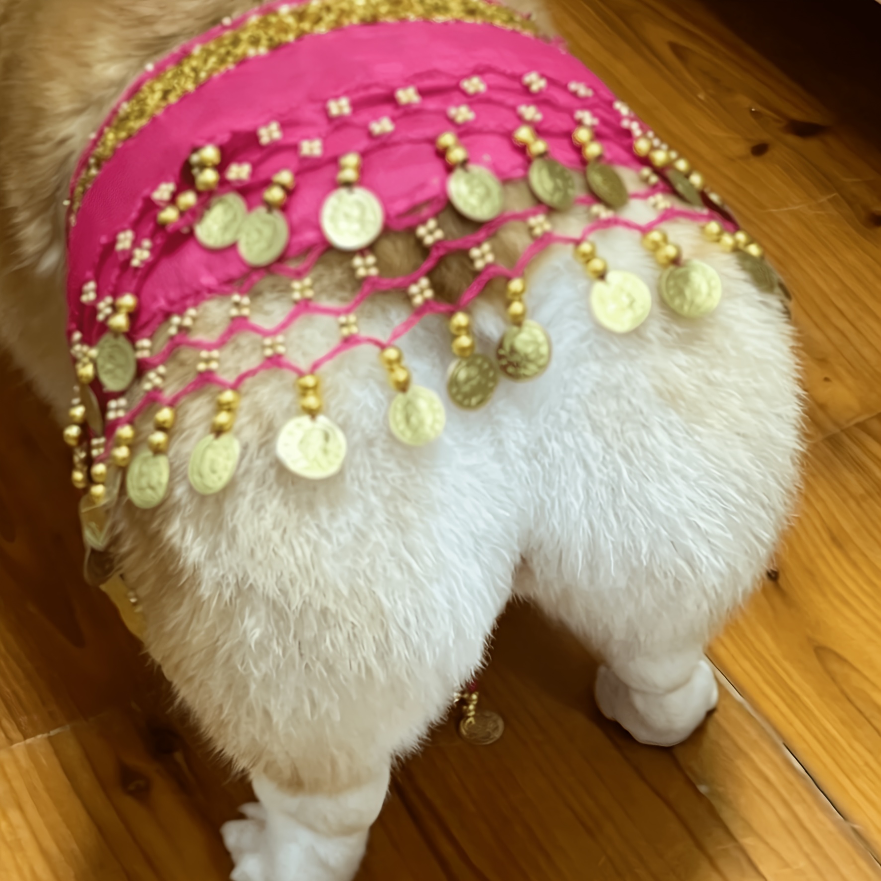 TEMU Costume de fête pour chien, ensemble jupe de hanche et chaîne de taille à paillettes pour chiot, tenue d'anniversaire et d'Halloween pour petits