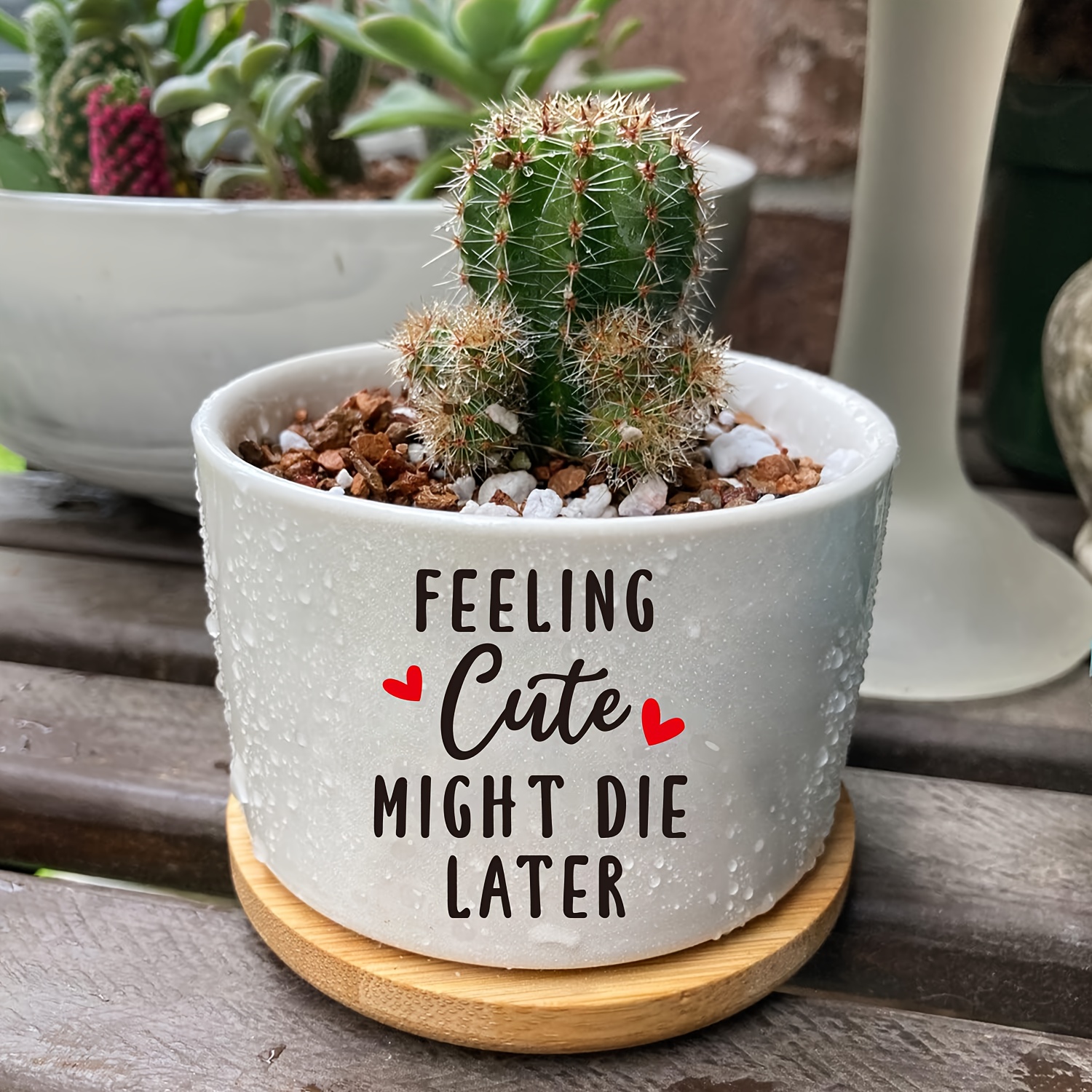 

Charming White Ceramic Succulent & Cactus Planter - 'feeling Cute Might Die Later' Engraved, Indoor/outdoor Use, Drainage Hole Included (plant Not Included)