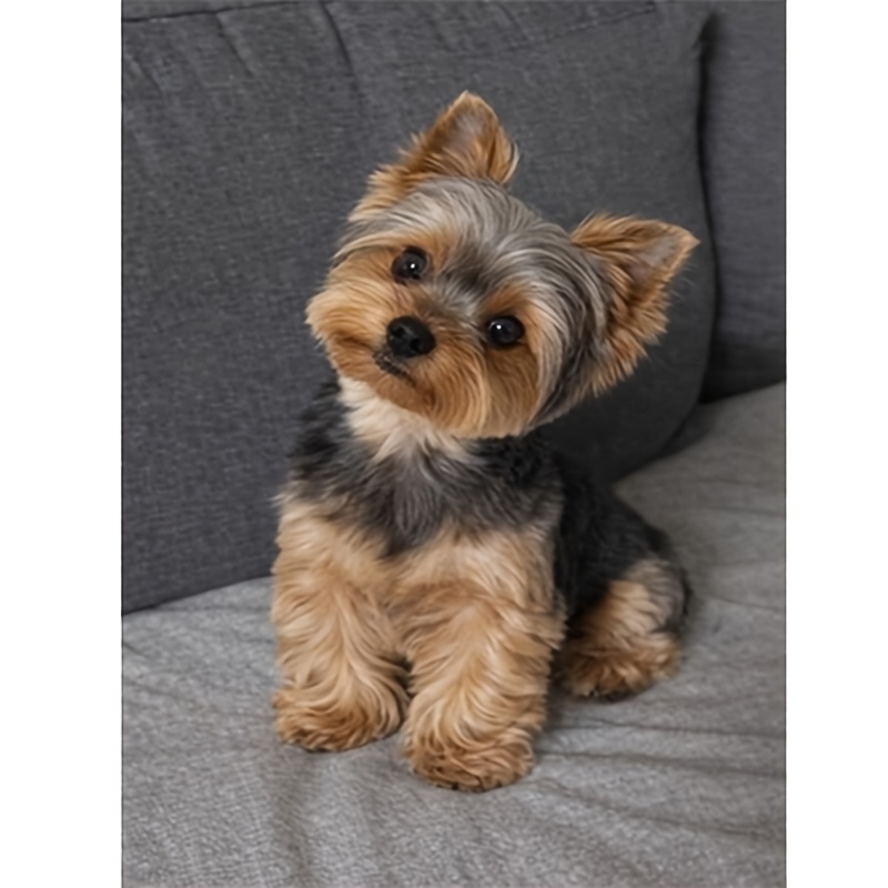 Image of 5d Diy Diamond Painting Kit Suitable For Home/office - Yorkshire Terrier Dog On Sofa With Round Diamonds, Frameless Handmade Craft Gift, Complete Set For &, Yorkshire Terrier Lover Present, Decoration