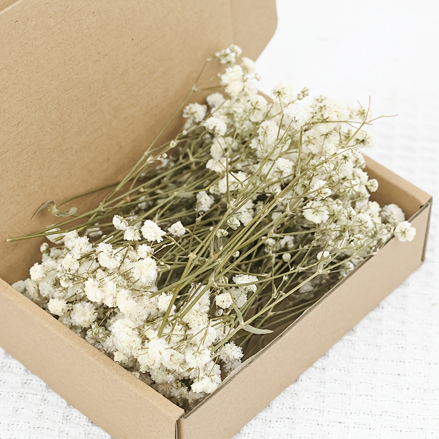 TEMU 105-teiliges Set aus künstlichen weißen Mini-getrockneten Schleierkraut-Gypsophila-Blumen für Vase, Hochzeit, Zuhause, Büro, Party, Garten,