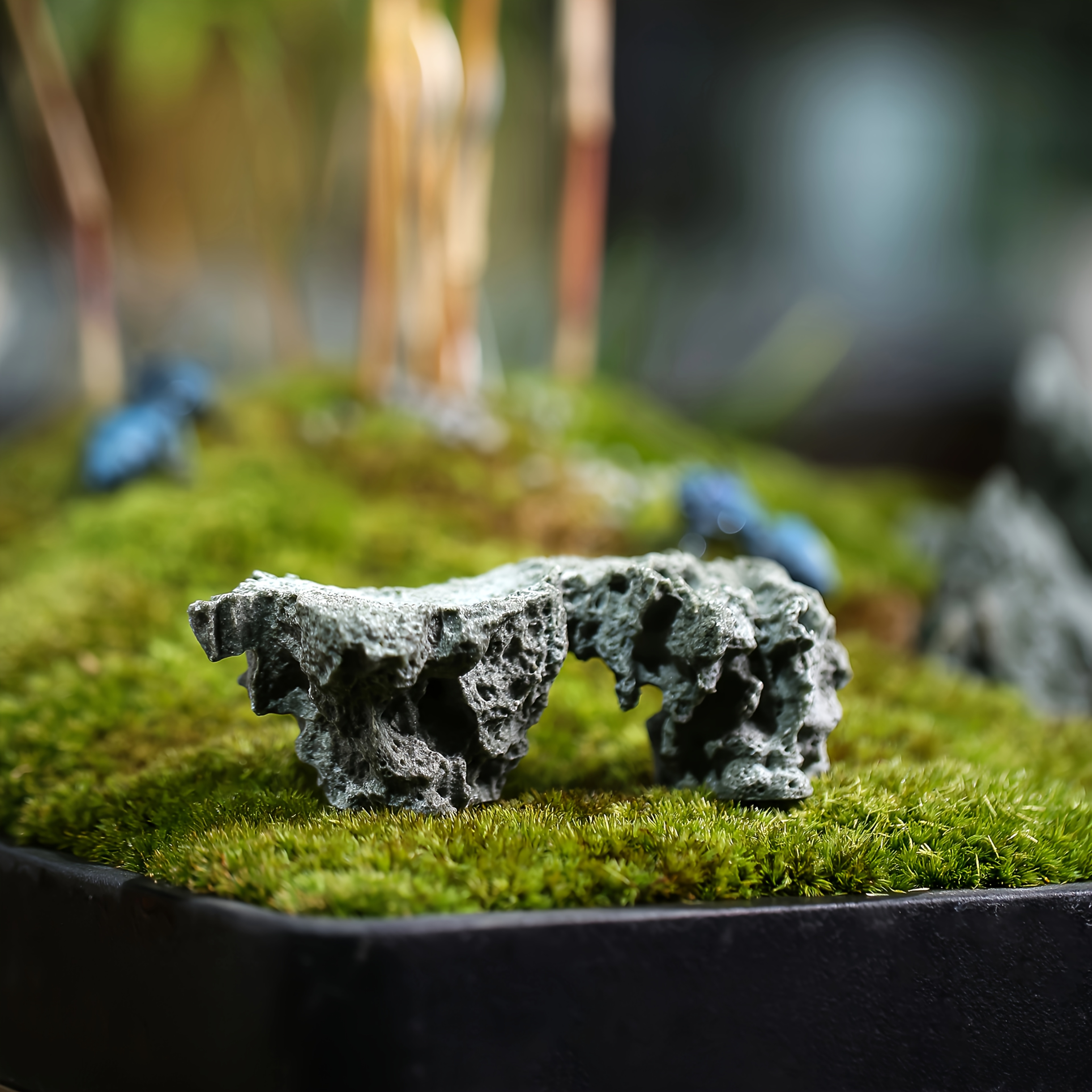 1pc mini landscape bonsai succulent - Temu