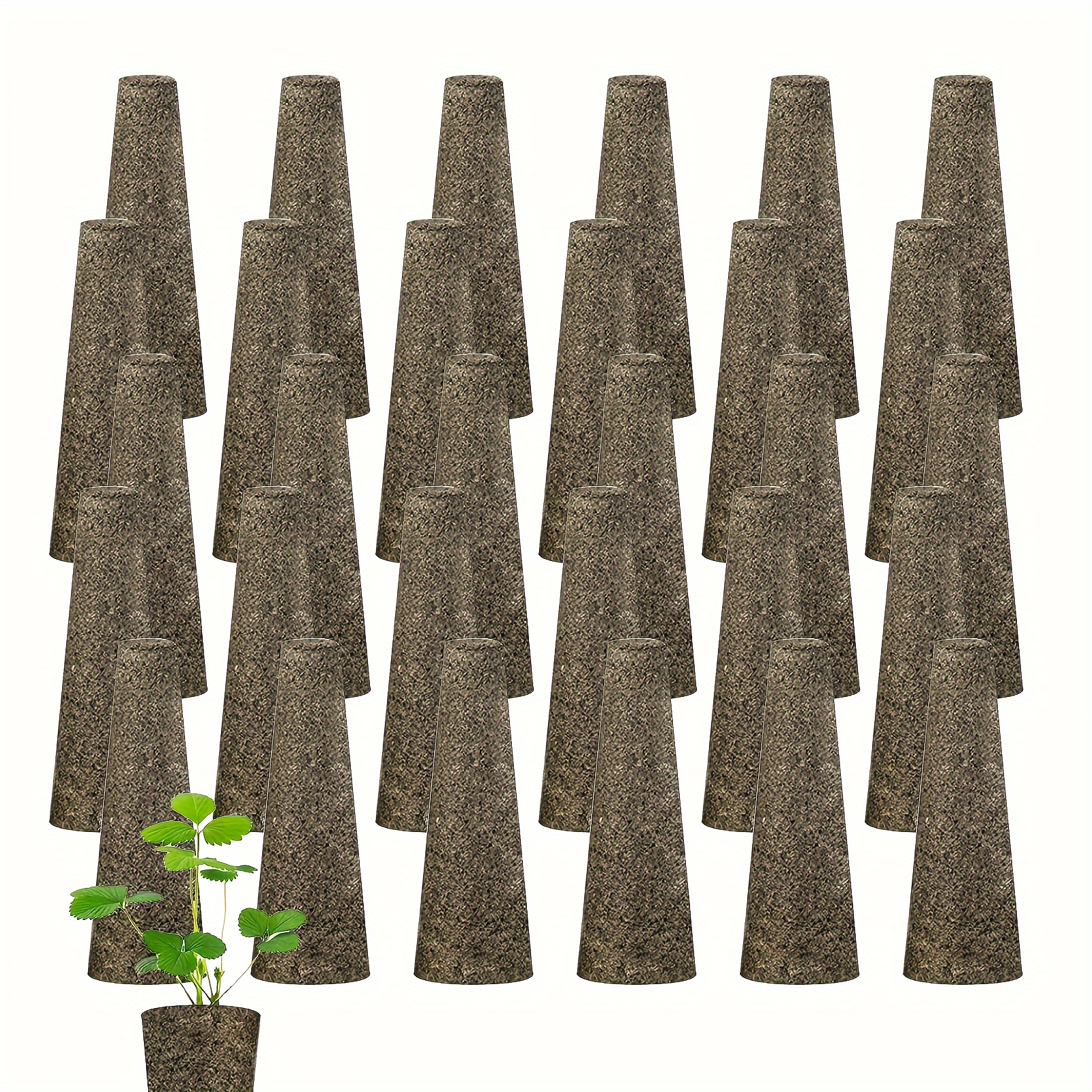 Paquet de 100 éponges de croissance, éponges de croissance des racines de  rechange compatibles avec AeroGarden, kit d'éponges de démarrage pour semis  pour système de jardin intérieur hydroponique