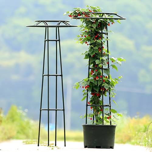 umbrella shaped flower rack a support for climbing vines and decorative plants suitable for outdoor