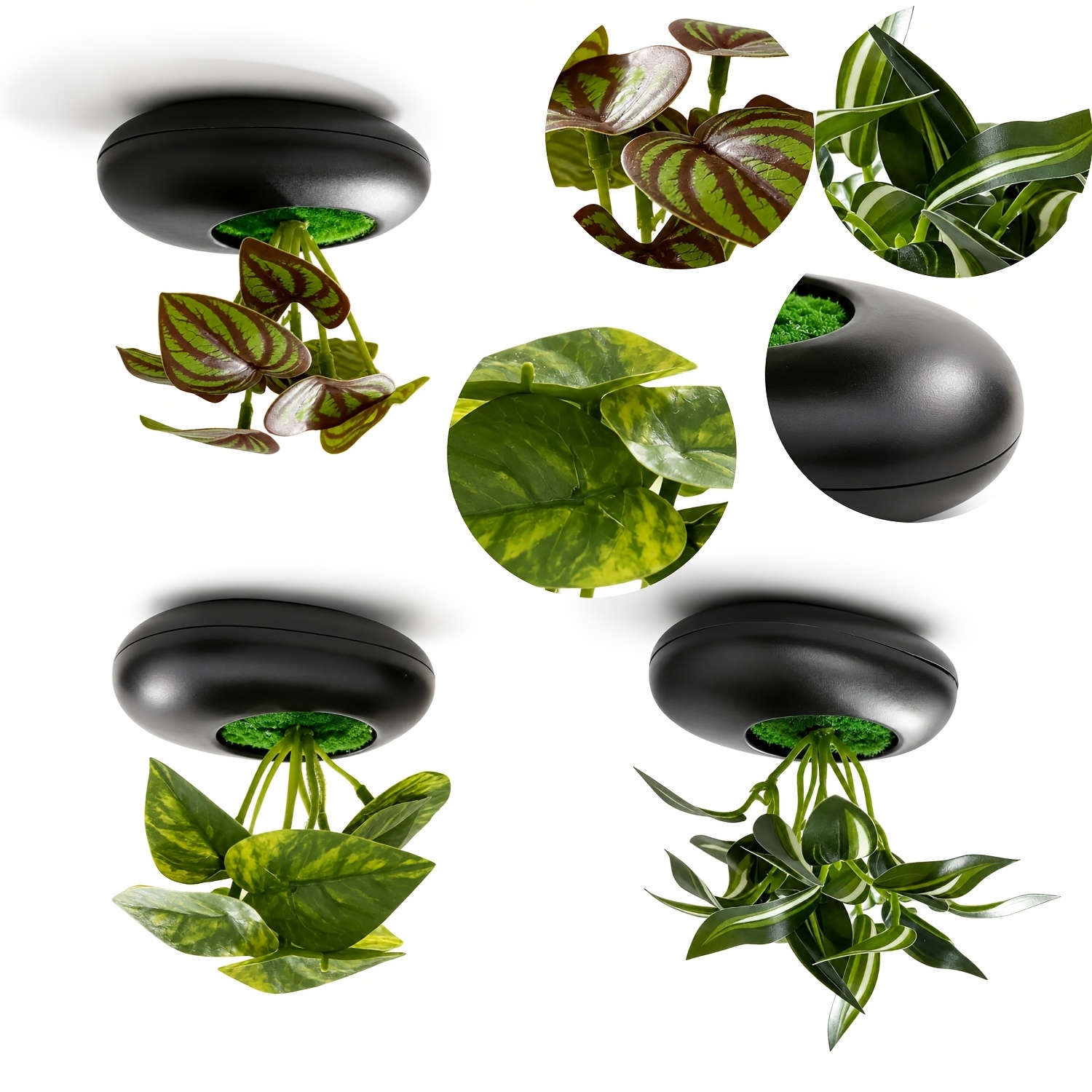 TEMU 3pcs Artificial Mixed Plant Bonsai, Pothos Leaves, Watermelon Leaves, White Leaves With Black Small Flat Pots, Holiday Decoration Faux Flowers,