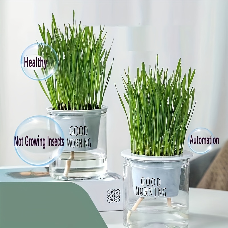 

Hydroponic Cat Grass Planter - Automatic Water Absorption, No Soil Needed, Plastic, Ideal For Cats