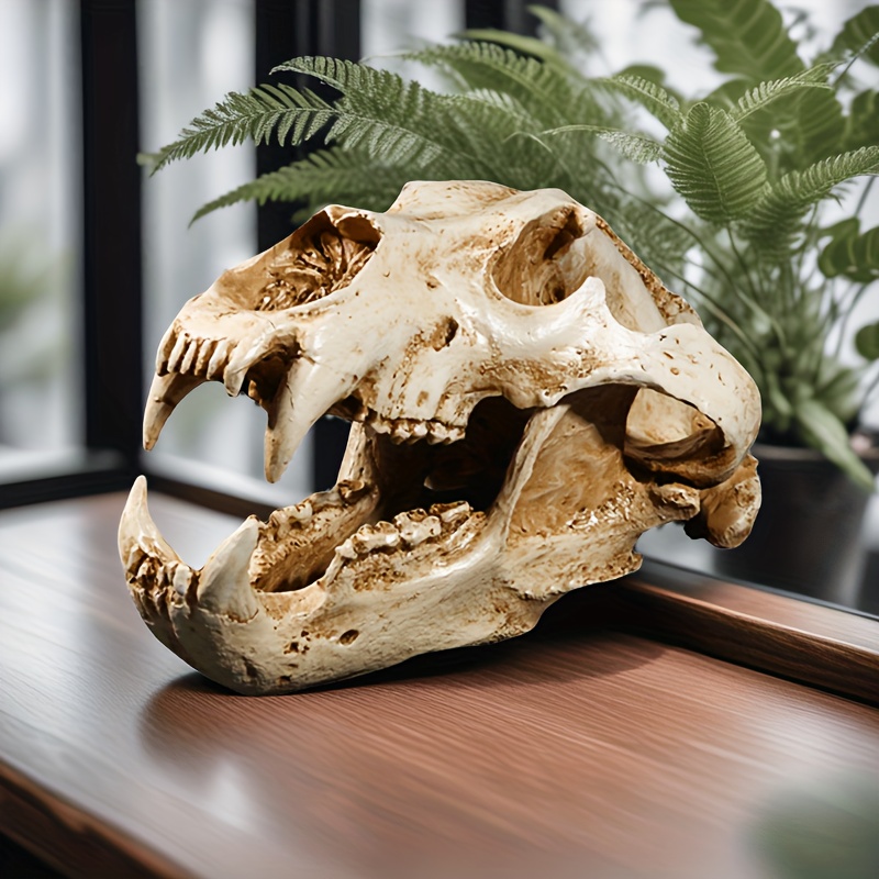 realistic resin polar bear skull model lifelike arctic - Temu Spain