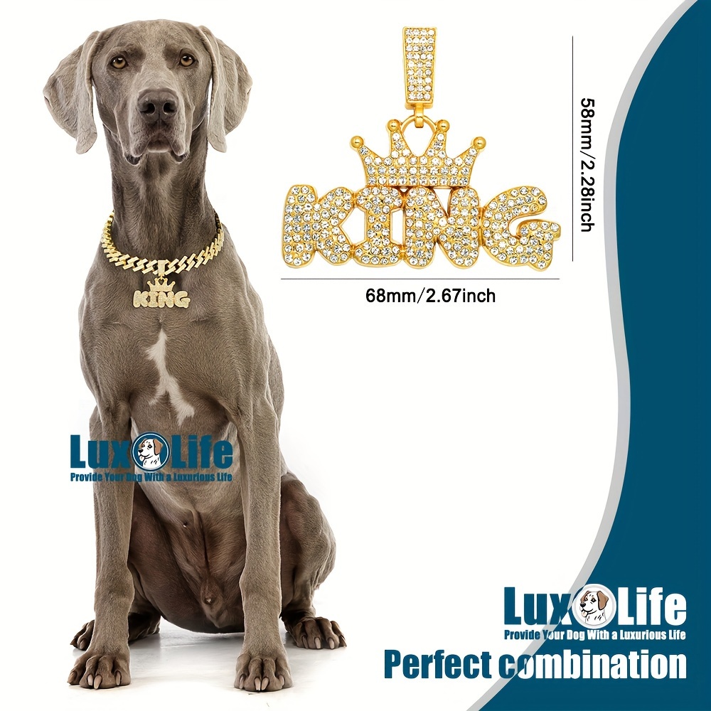 goldene hunde kette halsband synthetischen diamanten - Temu Austria