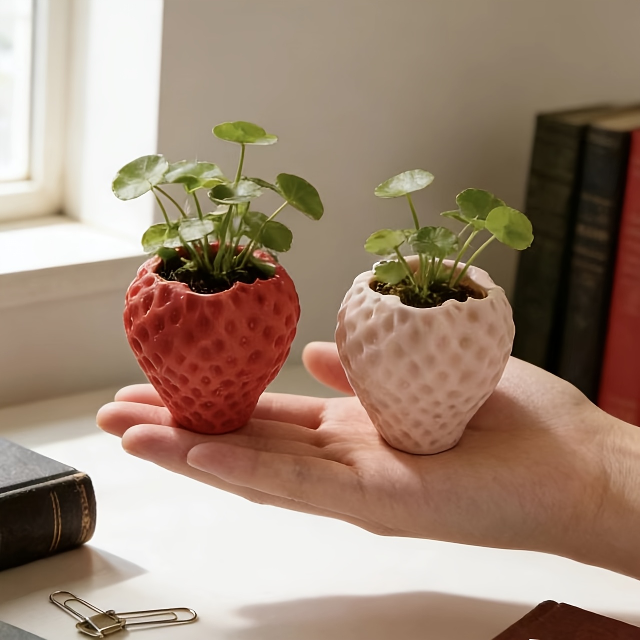 miniature plant pots sold on Temu United States