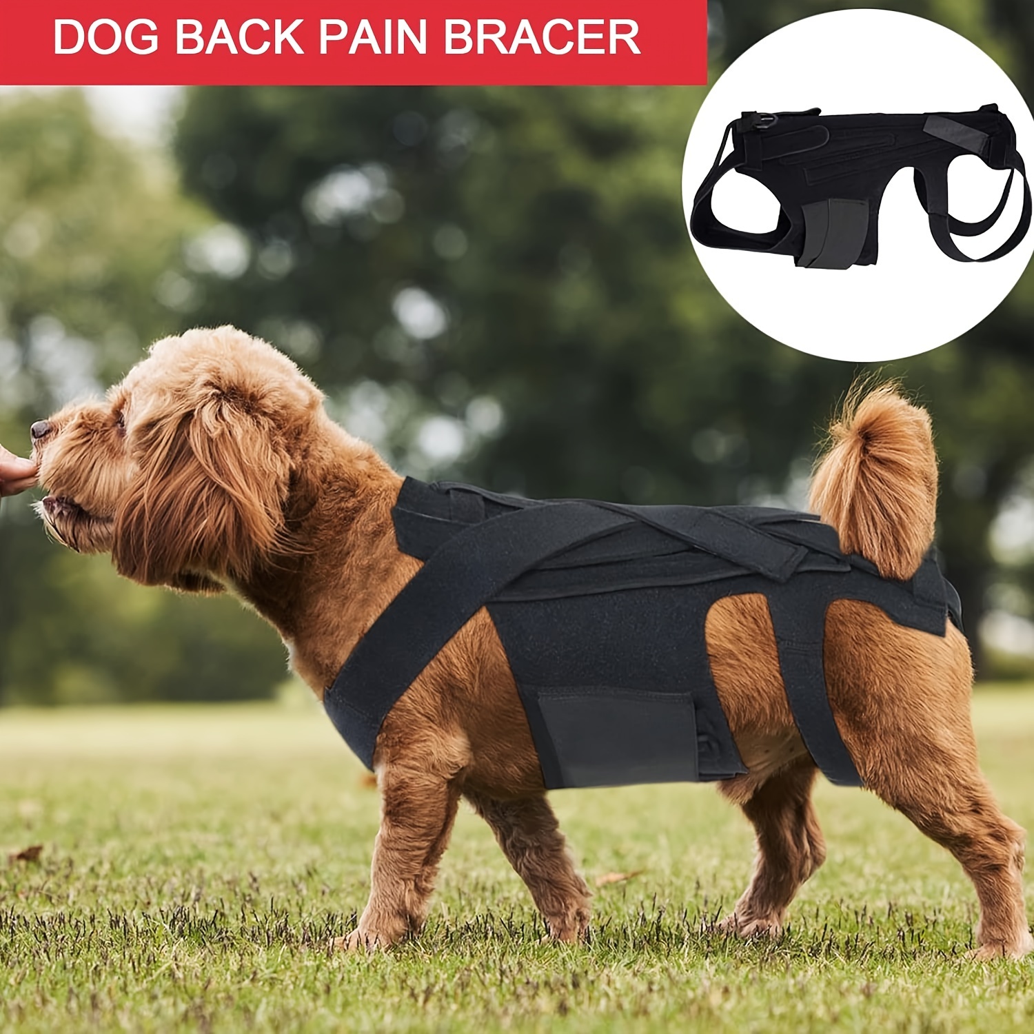 Pet Dog Back Brace Full Body Harness Back Support Wrap Pet Back Pads  Flexible