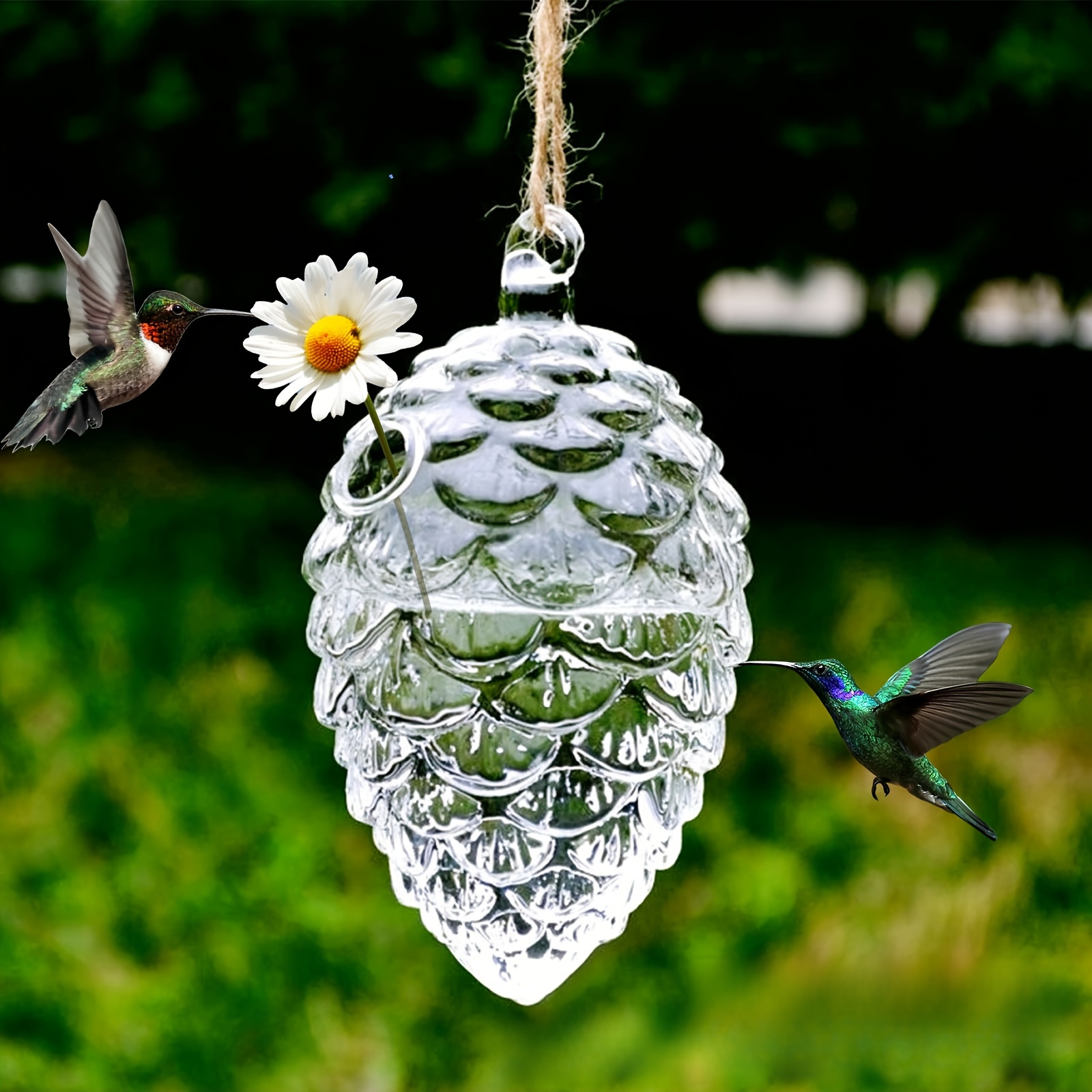 

Elegant Hanging Glass Pine Cone Vase With Daisy & - Transparent, Decorative Bird-friendly Art For , Garden Decorations