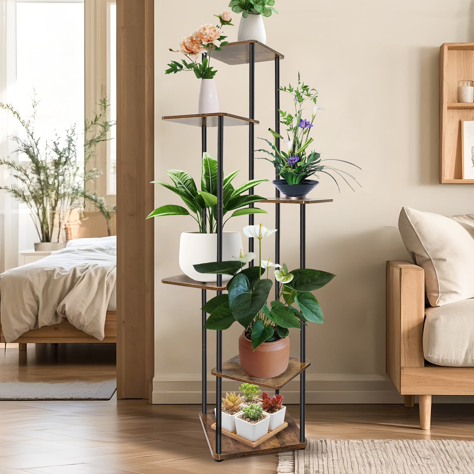coffee arabica indoor plant Buy Arabica Coffee Plant