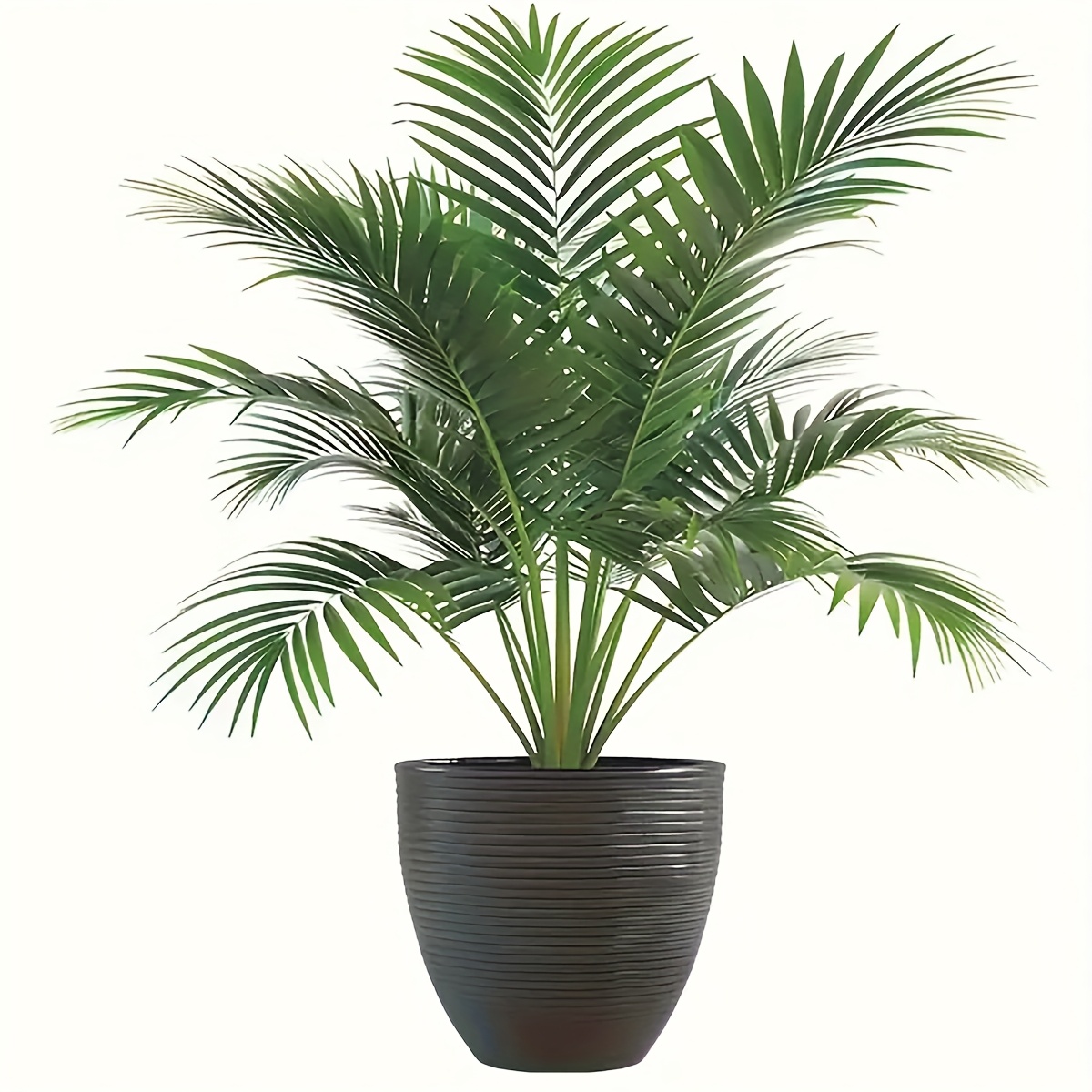 Image of 1pc Plant Wall Sticker - Pvc Self-adhesive Removable Sticker, Suitable For Home And Office Decoration, Perfect For Glass, Wall Decoration, Spring Decoration Decals