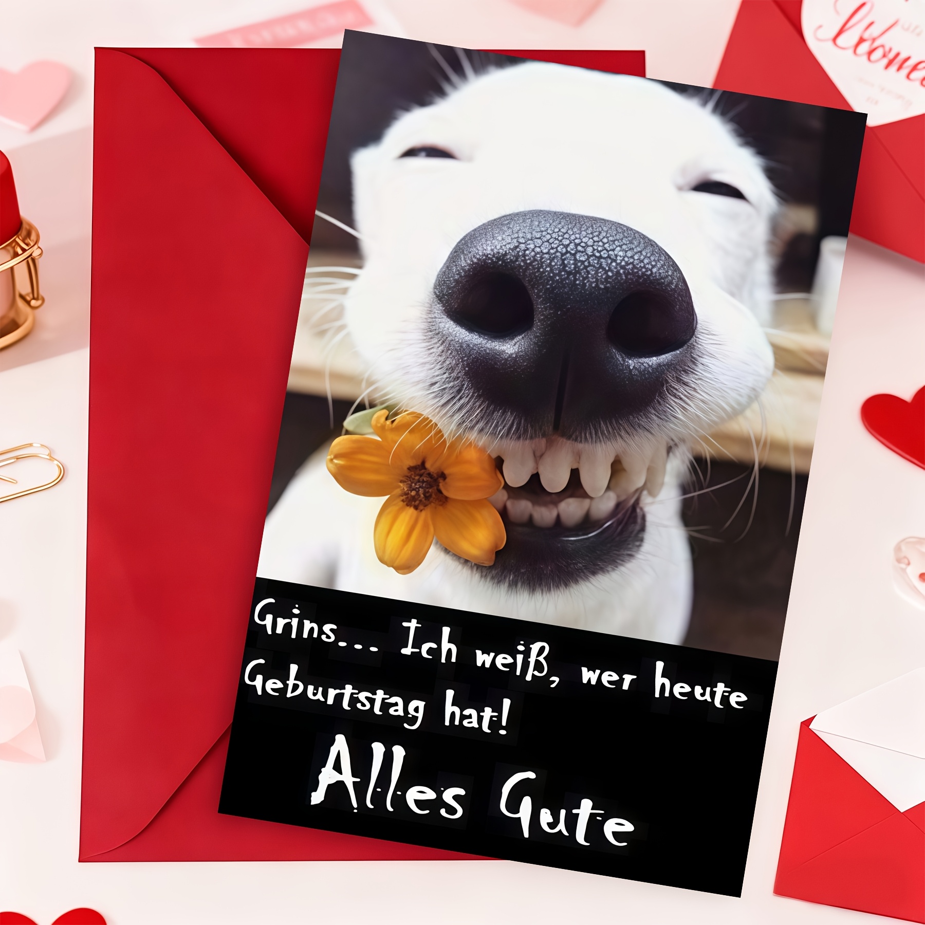 TEMU 1 Set Lustige grinsende Hund-deutsche Geburtstagskarte mit Umschlag, humorvolle Karte mit Hundefoto Blume für Hundeliebhaber