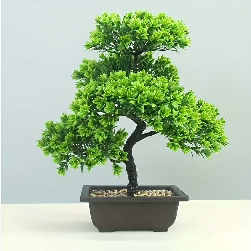 video's neppe dennenboom met plastic pot