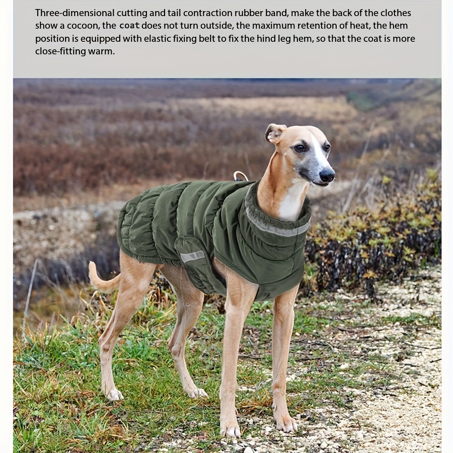 Lovelonglong Hundewintermantel Mit 4 Beinen – Winddicht, Fleece, Für Kleine Bis Große Hunde, Grün XXXL