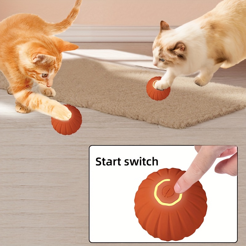 rechargeable interactive cat toy set               usb   details 2