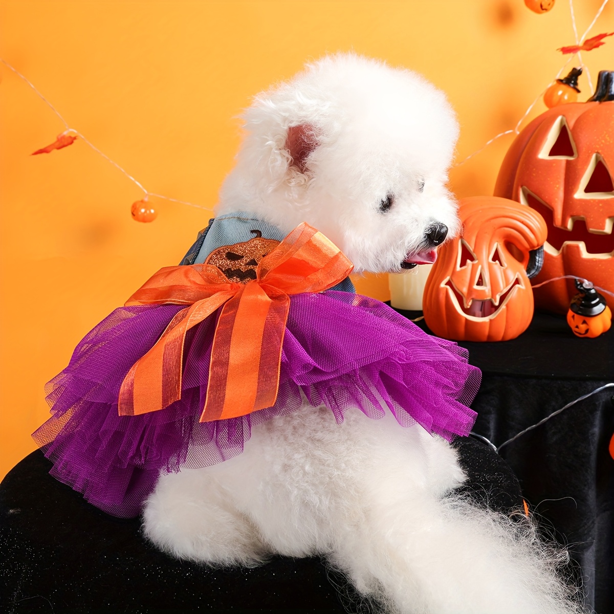 Halloween-Katzenhalsband – 2 Stück Mit Geist & Kürbis-Design – Süßes Accessoire Für Kätzchen & Welpen