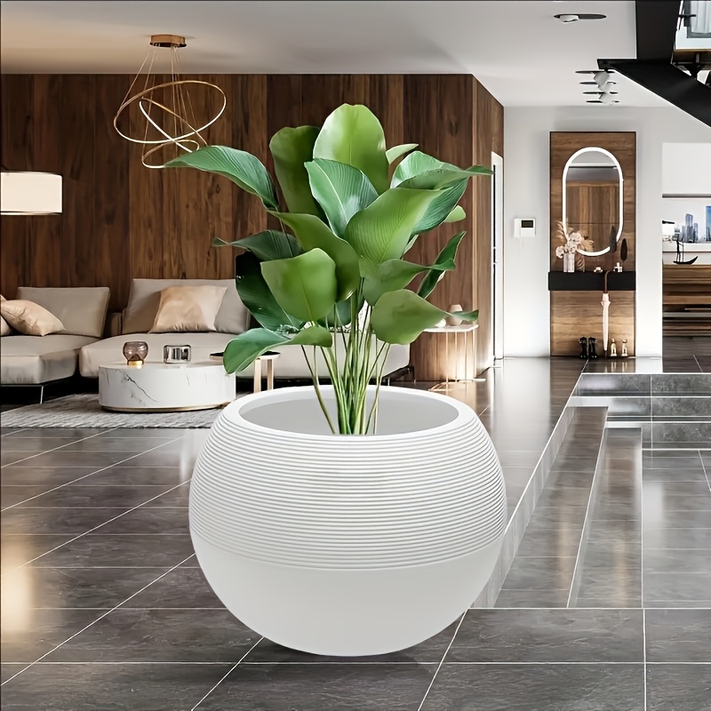 big plant pot sold on Temu United States