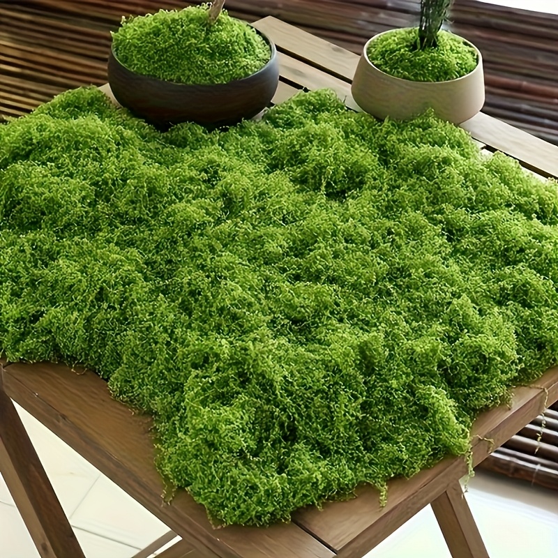 

30G Gazon Artificiel en Mousse, Mousse Verte Simulée pour Arrangements de Micro-Paysage, Ornements de Pelouse, Plantes en Pot Bonsaï & Aménagement de Pavage, Tapis d'Herbe, Décoration de