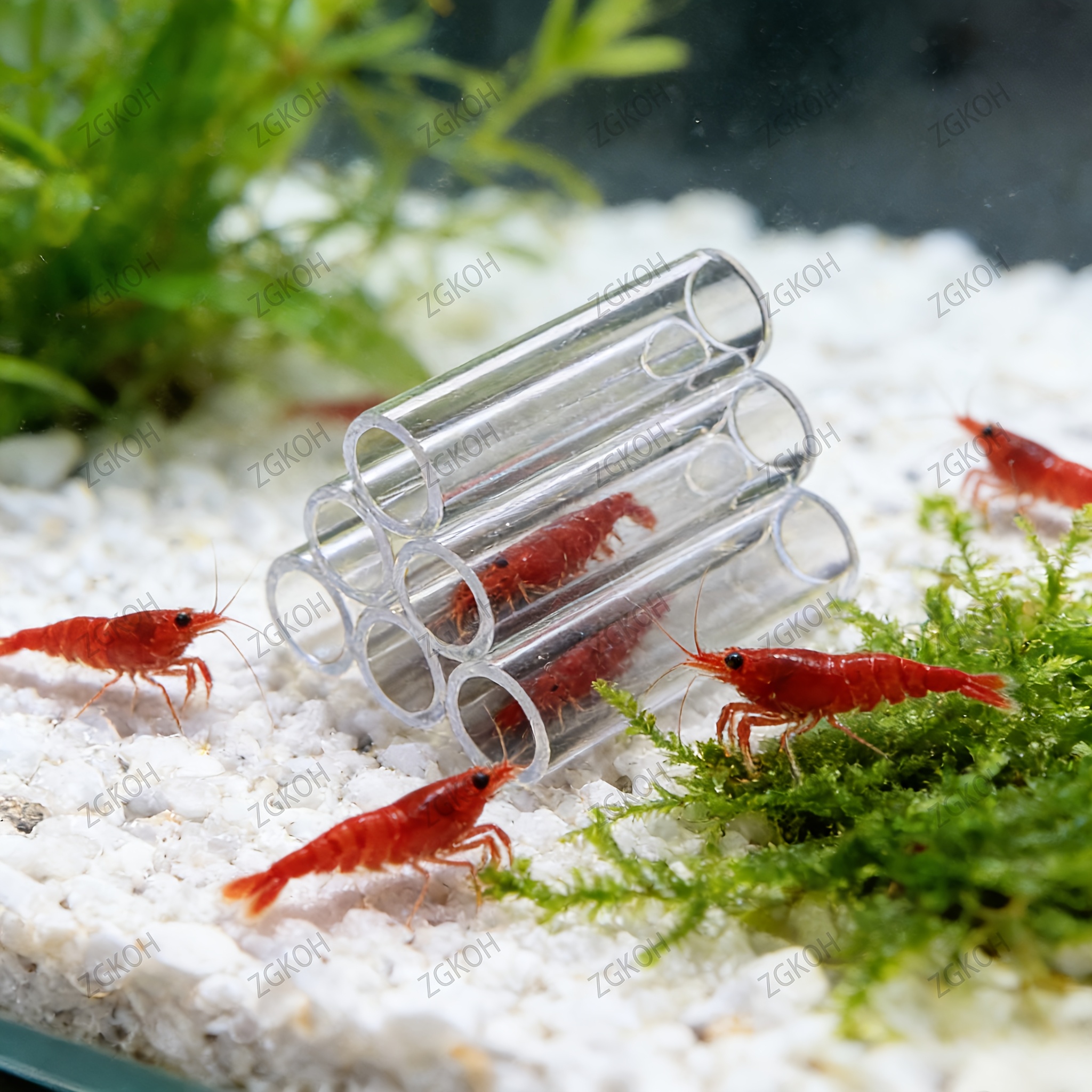 TEMU Zgkoh Clear Acrylic Shrimp Hideout - Stackable Breeding Cave & Hiding Tube Suitable For Shrimp, Small Fish, Aquarium Pets - Transparent Shrimp