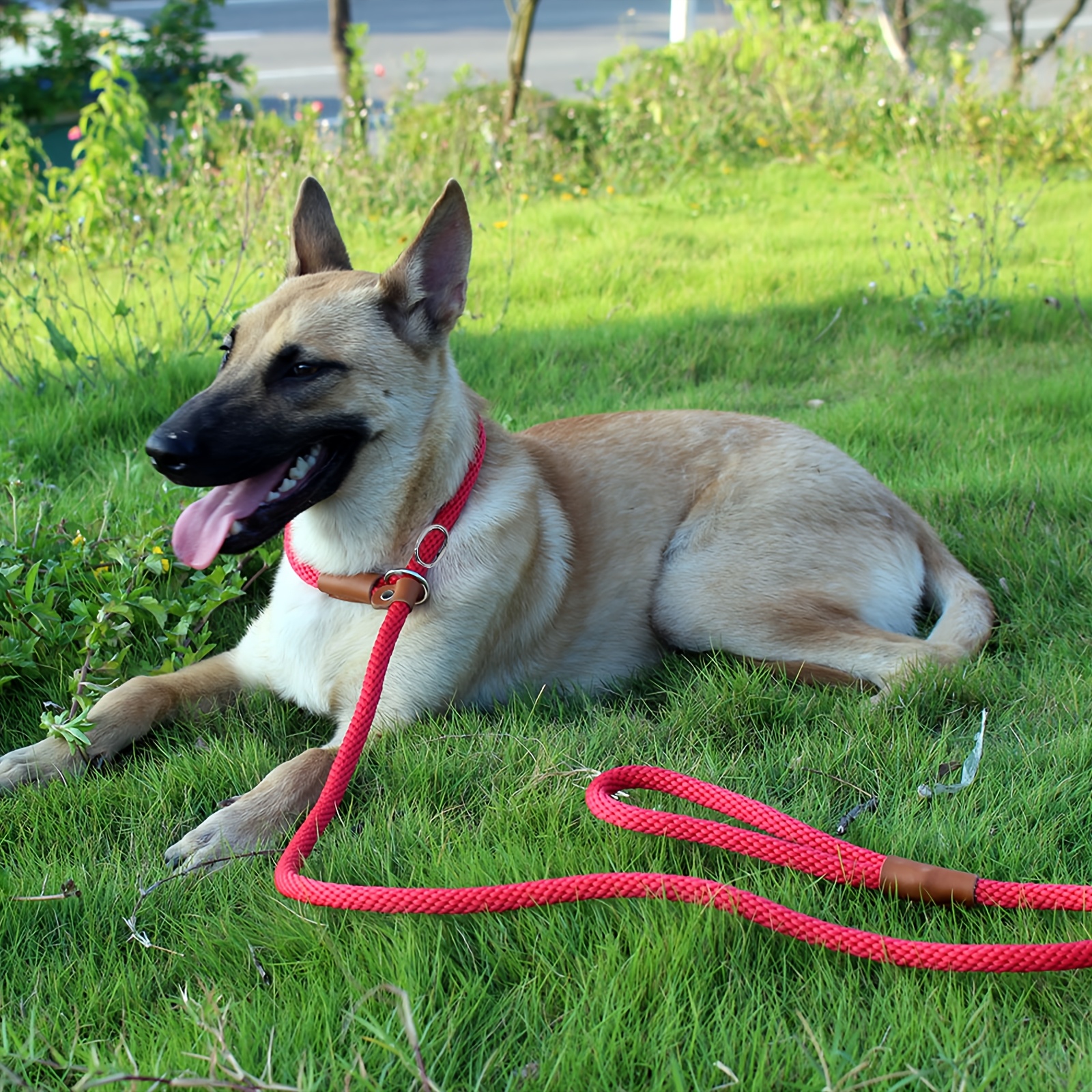 No Pull Slip Lead Dog Leash for All Breeds