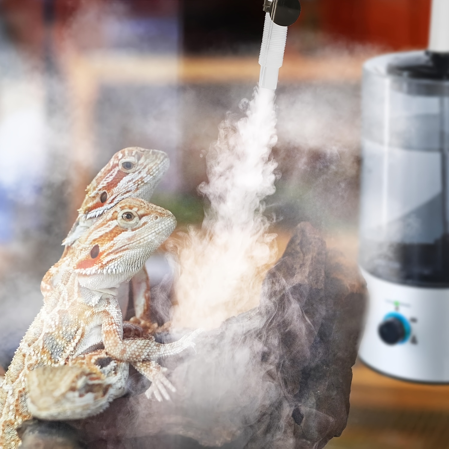 reptile humidifier fogger 4l cool mist fog mister tube Temu