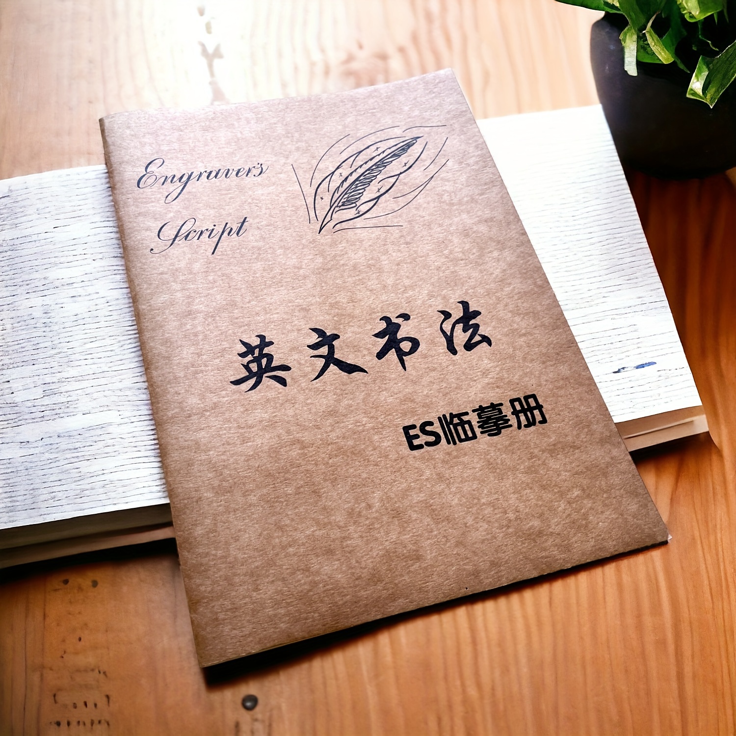 Calligraphy: A Manual For Writing
