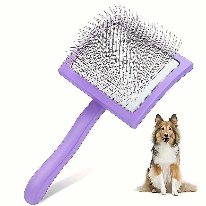 

[top-] - Dog Long - Grooming For To Breeds, Removes & , Too - In , Red, , Purple